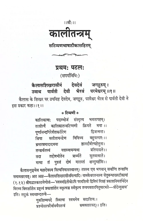 Kali Tantram Rudrachandi Tantram (CSBG 528)